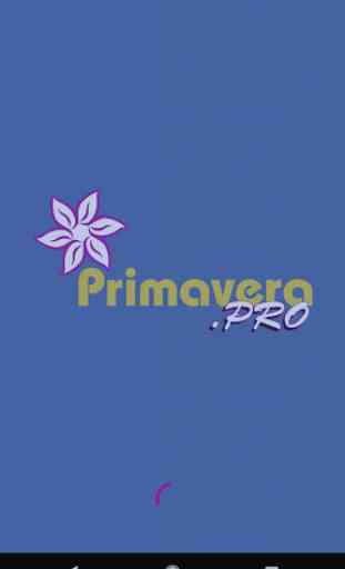 Primavera Pro Guide 1