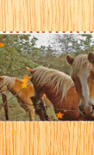 Cavalli Haflinger Animato Puzzle Con Pony - Gioco Divertimento Gratuito et Gratis Per Bambini, Ragazze, Ragazzi e Tutta la Famiglia 1