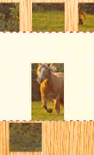 Cavalli Haflinger Animato Puzzle Con Pony - Gioco Divertimento Gratuito et Gratis Per Bambini, Ragazze, Ragazzi e Tutta la Famiglia 4
