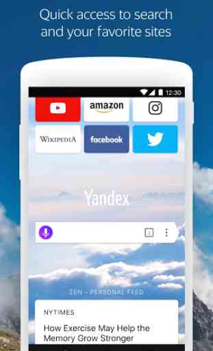 Yandex Browser with Protect 1