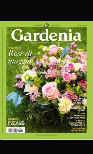 Gardenia 1