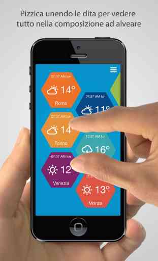 Beehive Weather - previsioni meteo 4