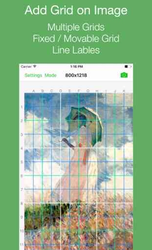Grid # - griglia su immagine 1