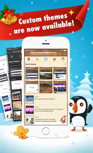 Puffin Browser Pro 1