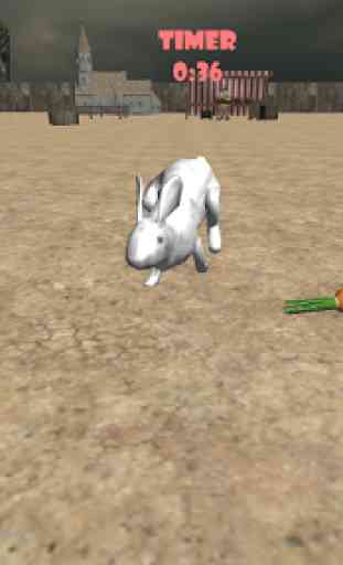 Reale Coniglio Simulator 1