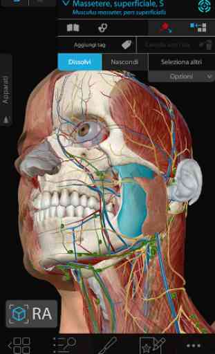 Atlante di anatomia umana 2020: corpo umano in 3D 1