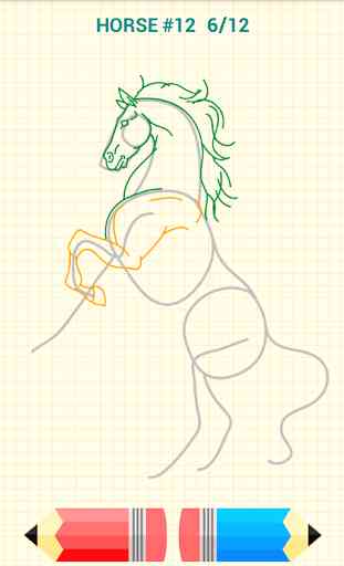 Come Disegnare Cavalli 4
