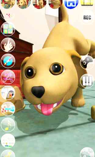 Sweet Talking Puppy: Funny Dog 2