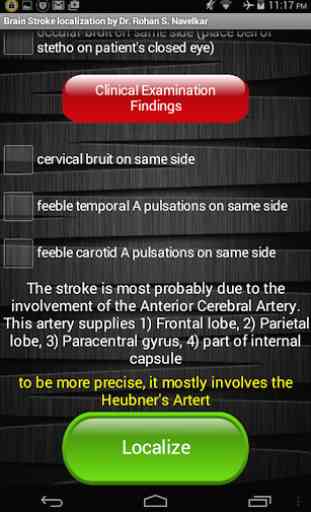Neurology- Stroke localization 3