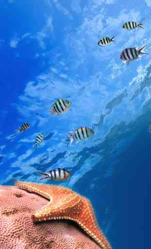 Pesce oceanico Sfondo Animato 1