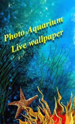 Photo Aquarium Live Wallpaper 3
