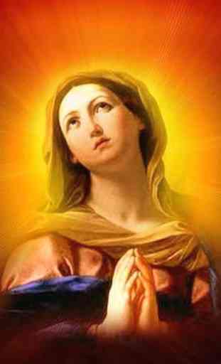 Vergine Maria Sfondo Animato 4