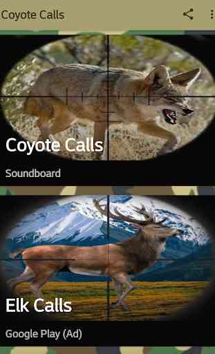 Chiamate caccia Coyote 1