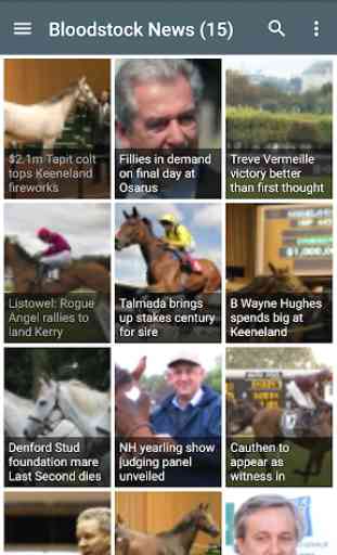 Horse Racing News 2