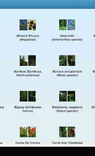 Edible and Medicinal Plants - Offline Plant Guide 1