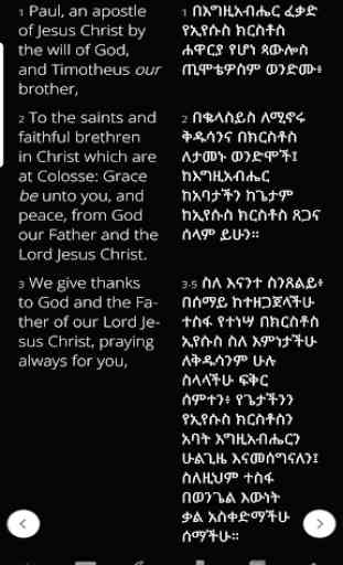 Holy Bible In Amharic with Audio 4