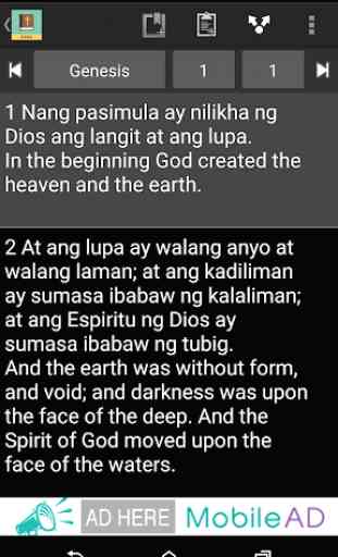 Tagalog Eng Bible (Ang Biblia) 2