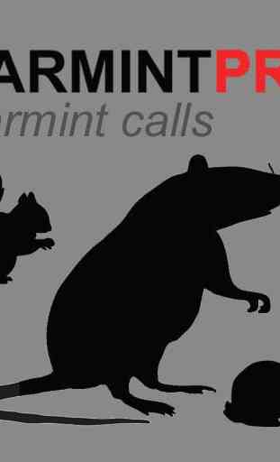 Varmint Calls for Hunting 4