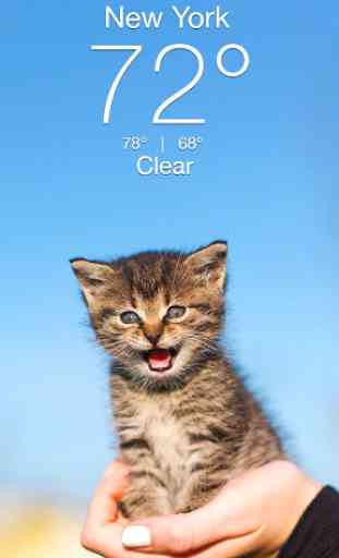 Weather Kitty - Forecast, Radar & Cat Pictures 1