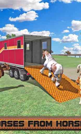 cavallo stunt camion trasport 1