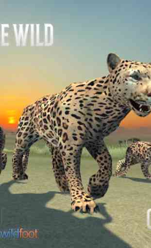 Clan of Leopards 1