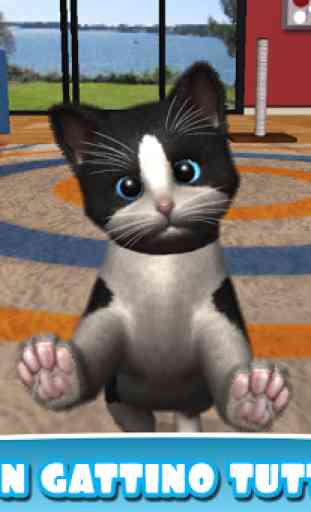Daily Kitten virtuale gatto 1