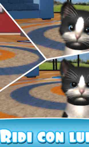 Daily Kitten virtuale gatto 4