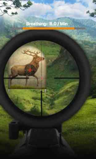 Deer Target Shooting 1