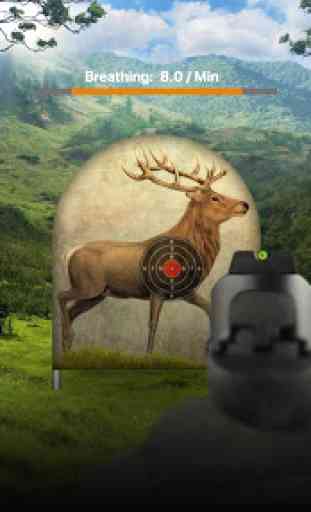 Deer Target Shooting 2