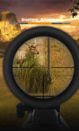 Deer Target Shooting 3