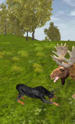 Dog Survival Simulator 4