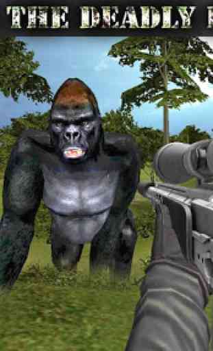 Gorilla Animal caccia libera 2