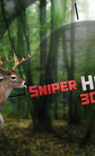 Sniper Hunter 3D 1