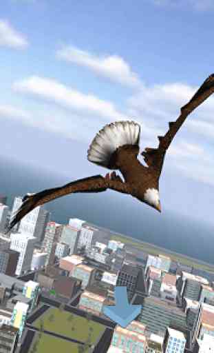 Aquila Bird City Simulator 1