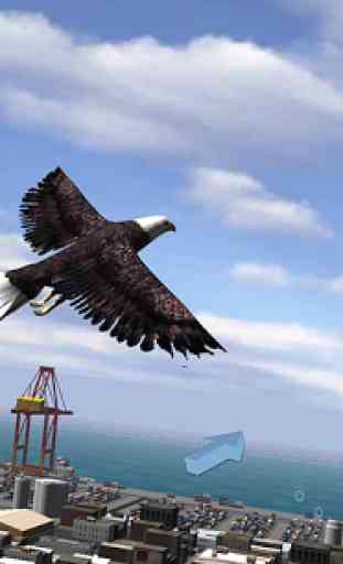 Aquila Bird City Simulator 2