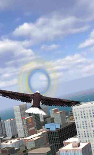 Aquila Bird City Simulator 3