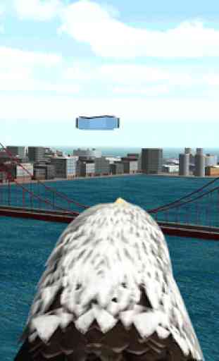 Aquila Bird City Simulator 4
