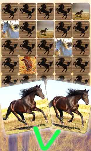 Giochi di Puzzle di Cavalli gratis 1