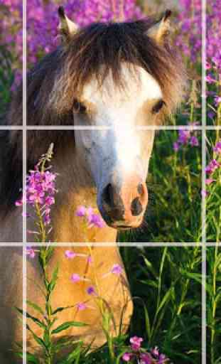 Puzzle - Bellissimi cavalli 1