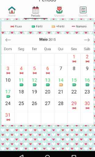 Calendário Ciclo Menstrual 2