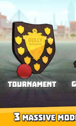 Gully Cricket Game - 2019 4
