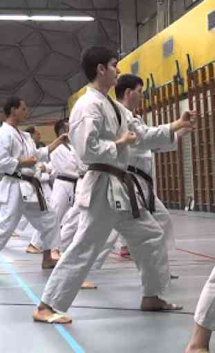 Karate Formazione 2
