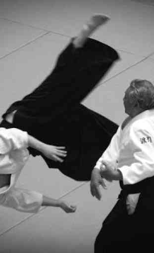 L'allenamento di Aikido 2