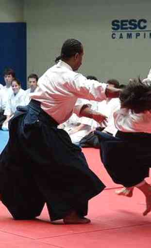 L'allenamento di Aikido 3