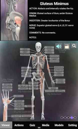 Muscle and Bone Anatomy 3D 1