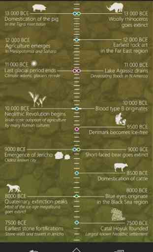 Timeline of Human History 4