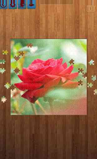 Fiore Jigsaw Puzzles 1