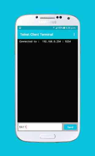Telnet Client Terminal 4