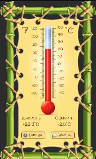 Thermometer - Termometro 4