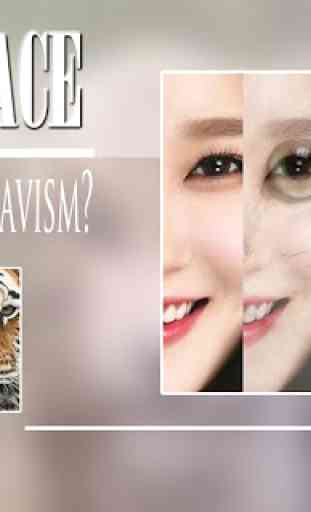 Beauty Face Plus :  face morphing 4